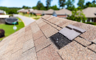 Roof Repair vs. Replacement: Which One Do You Need?