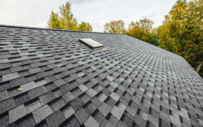 From Straw to Shingles: Tracing the Evolution of Roofing Materials with Home Evolution