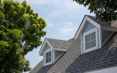 Roofing Through the Ages: A Historical Journey from Thatch to Solar Tiles